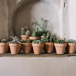 Casazavi 招待所