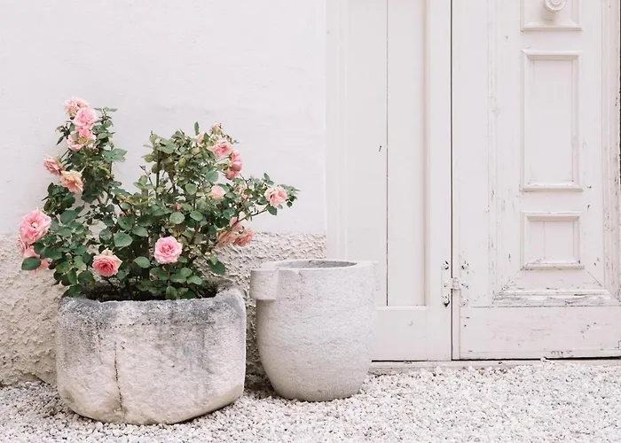 Casazavi Guest house Belluno